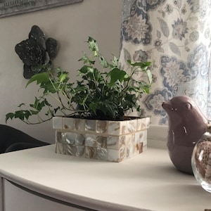 May include: A green leafy plant in a square planter made of white and beige mosaic tiles. The planter is sitting on a white surface with a purple bird figurine and a glass jar filled with seashells.