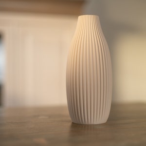 Vase / decorative vase / 3D print Elva / pampas grass / dried flowers / decoration / eucalyptus / bouquet / gypsophila beige