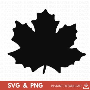 Maple Leaf Svg, Maple Leaf Png, Fall Cliparts SVG, Fall Svg, Autumn SVG, Fall Leaf svg, Botanical Vector, Leaf Vector Svg