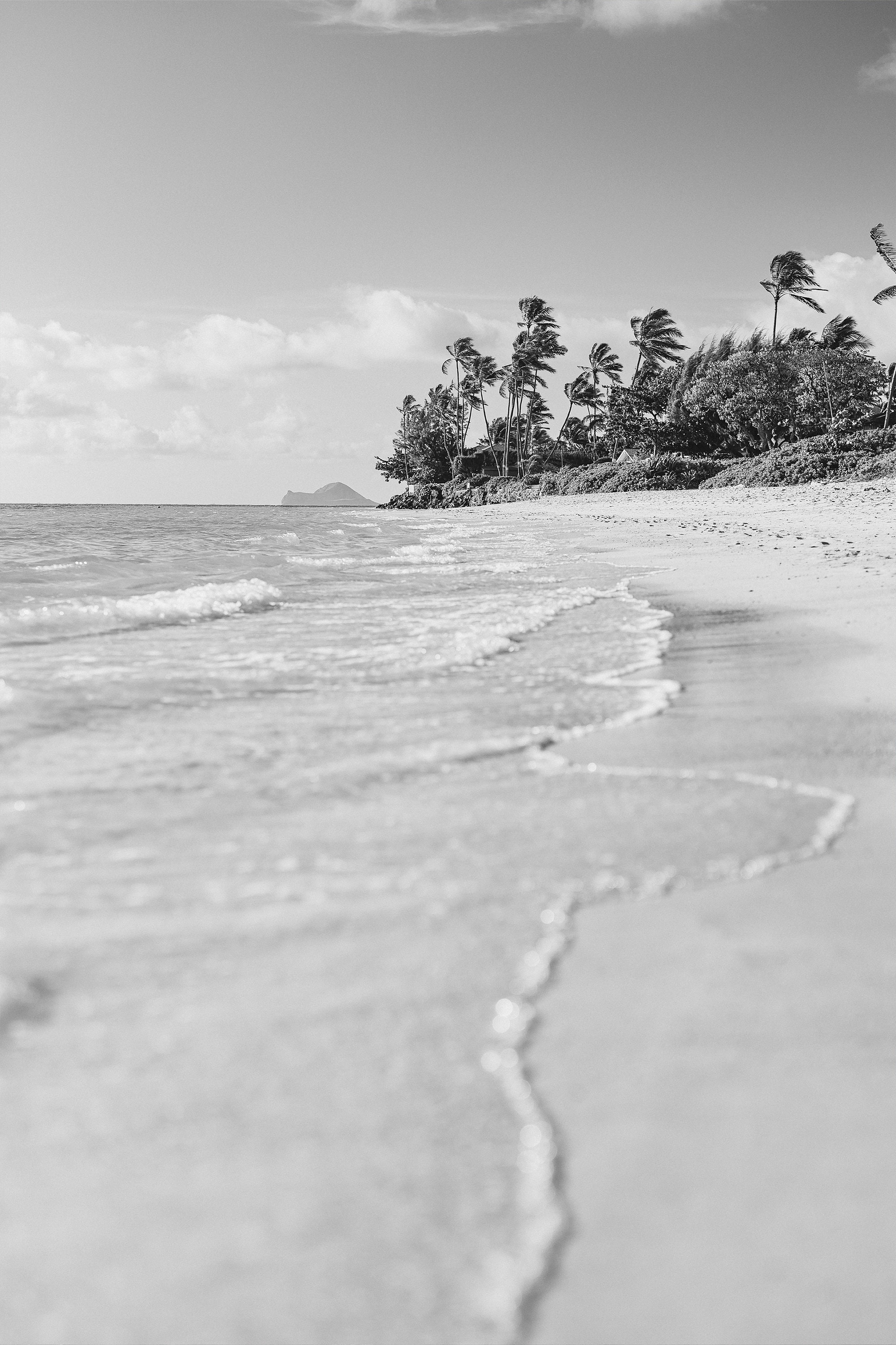 Oahu Beach Photo, Black and White Seascape Print, Hawaii Wall Decor - Etsy