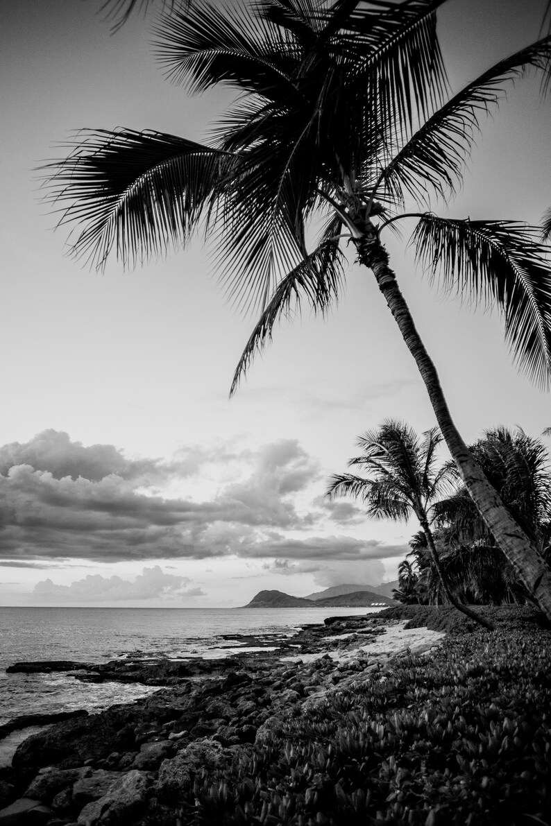 Oahu Photo Black and White Prints - Hawaii Photography Wall Art (FRAMES ...