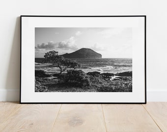 Oahu Photo Black and White Print 073, Photography, Oahu, Hawaii, Landscape, Home Decor, Wall Decor, Boho, Minimalist (FRAMES NOT INCLUDED)
