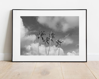 Oahu Photo Black and White Print 078, Photography, Oahu, Hawaii, Landscape, Home Decor, Wall Decor, Boho, Minimalist (FRAMES NOT INCLUDED)