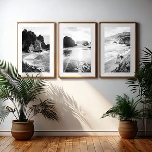 May include: Three black and white framed photographs of a rocky coastline with waves crashing on the shore. The photos are hung on a white wall with two potted plants in front of them.