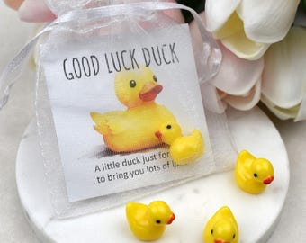 BULK - Good Luck Duck | Lucky Duck | Good Luck Gift | Lucky Duck Gift | Pocket Hug Duck | Novelty Duck | Bulk Gift | PTA Gifting | 7000
