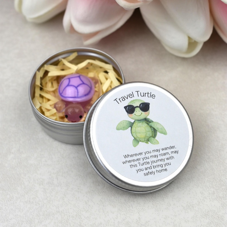 Cute Mini Travel Turtle Gift | Pocket Turtle in Tin | Good Luck Charm | Stocking Filler | Small Novelty Keepsake image 5