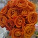 Owner of <a href='https://www.etsy.com/ca/shop/OranssiTreasures?ref=l2-about-shopname&from_page=listing' class='wt-text-link'>OranssiTreasures</a>