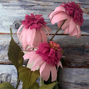 Echinacea Surpreme Coneflower, Perfect for Easter, Special Occasions, Bouquet, Forever Flower Centerpiece
