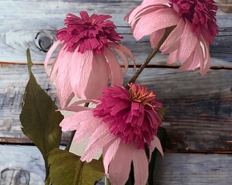 Echinacea Surpreme Coneflower, Perfect for Easter, Special Occasions, Bouquet, Forever Flower Centerpiece