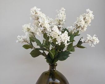 May include: A bouquet of white flowers in a dark green glass vase. The vase has a rounded, bulbous shape.