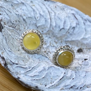 Natural Baltic butterscotch Amber stud earrings