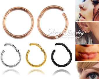 Aro con segmento articulado sin costuras de 20 g, 18 g, 16 g y 14 g, con cierre de clic de 6 mm a 16 mm, para piercing en oreja, nariz, labio, ceja, cartílago, hélix y septum.