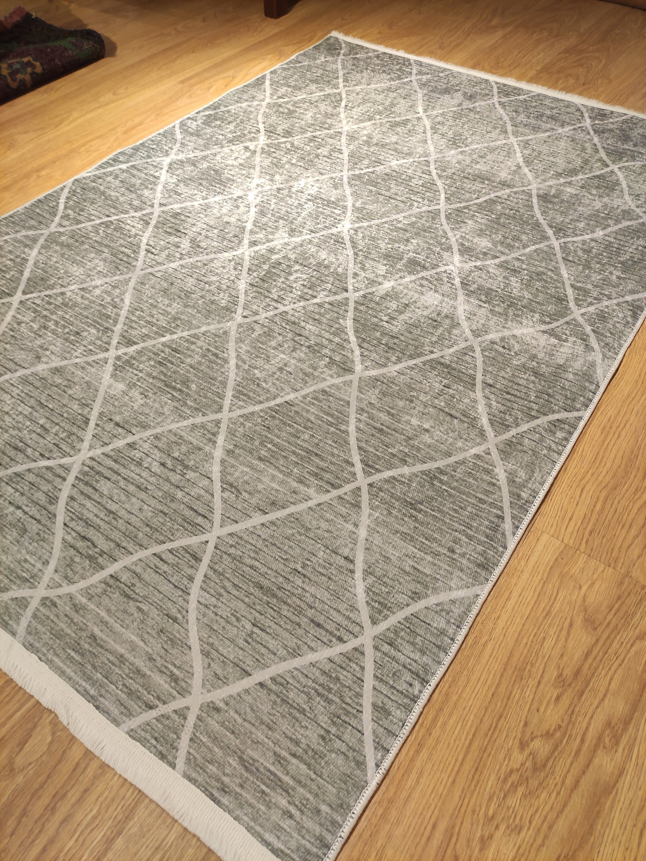 Blue and white rugs/Checkered rug/Cool rug/Apartment Etsy