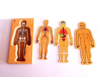 Human Body Layers Wooden Puzzle |  Early Educational Human Body Biology Puzzle |