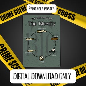 DIGITAL DOWNLOAD ONLY** Entomology Posters Bright Colorful Csi Science Teacher Teaching School Law Enforcement