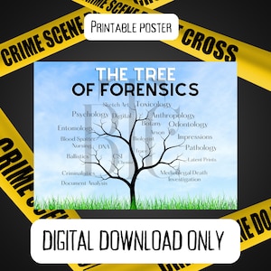 DIGITAL DOWNLOAD ONLY**Tree of Forensics Posters Bright Colorful Csi Science Teacher Teaching School Law Enforcement
