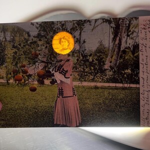 May include: A vintage postcard featuring a collage of a person in a plaid dress standing in an orange grove. A circular cutout reveals a portrait of a person's face where the head should be. Handwritten cursive text runs along the right edge.