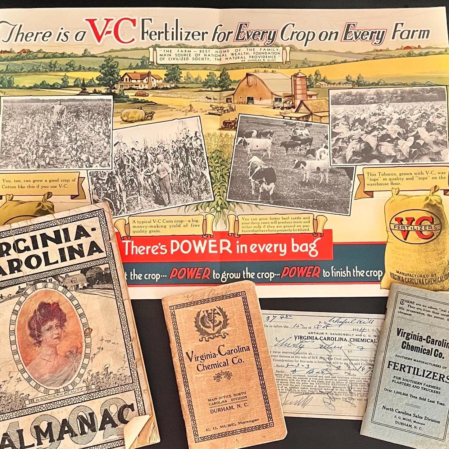 BigMouthFrogVintage - Etsy