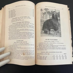May include: An open book with aged pages, featuring text and a black and white photograph of a pig at a 4-H Pig Club Exhibit. The text includes details about the exhibit and a sale.