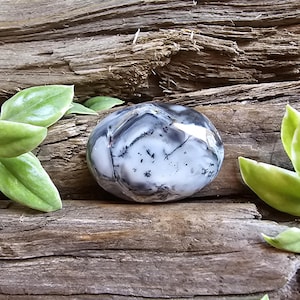 May include: A polished, oval-shaped dendritic agate stone featuring a smooth, white surface with intricate, dark grey to black fern-like inclusions and branching patterns throughout the translucent and opaque mineral structure.