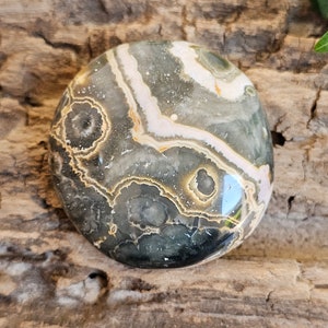 Showstopper EEEEE!  Ocean Jasper Palm Stone - Madagascar Orbicular Jasper - SWEET Old Stock Rare Pattern