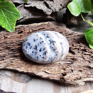 May include: A polished, oval-shaped stone with a white base and black speckles. The stone is displayed on a piece of weathered wood, with green leaves in the background. The stone's smooth surface contrasts with the rough texture of the wood.