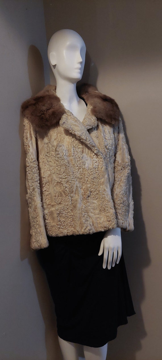 Vintage ‘60’s Genuine Persian Lamb Jacket with Mi… - image 4