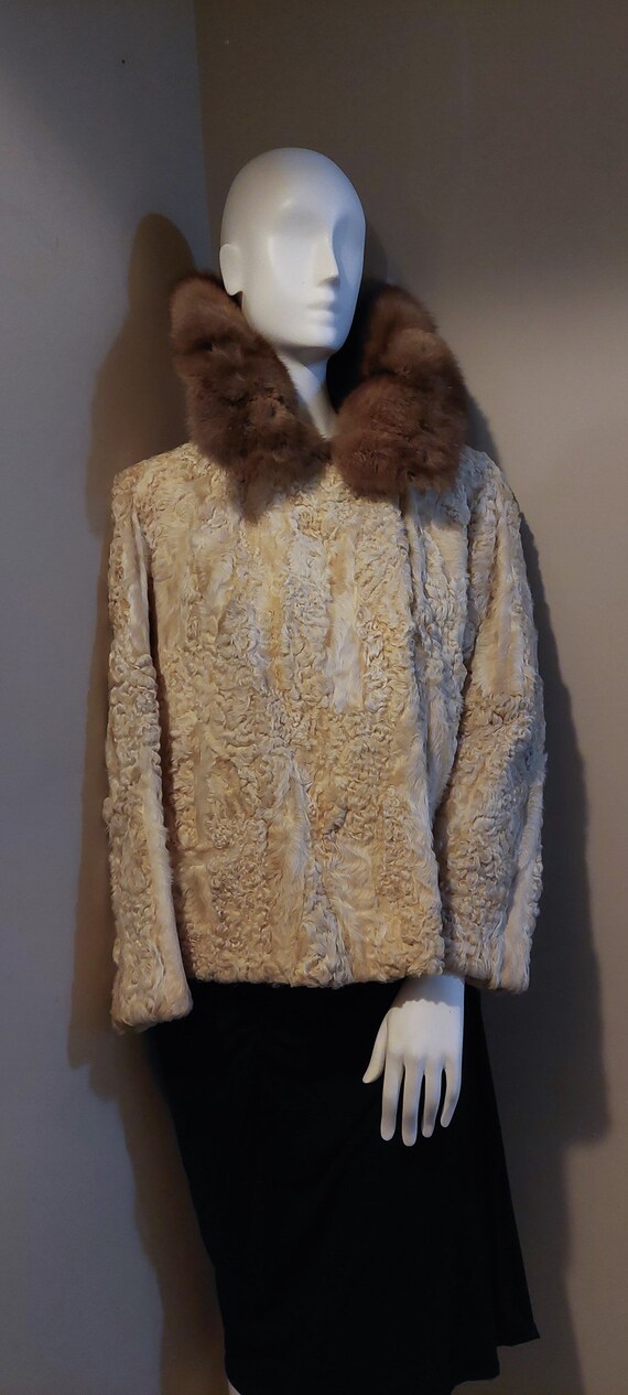 Vintage ‘60’s Genuine Persian Lamb Jacket with Mi… - image 3