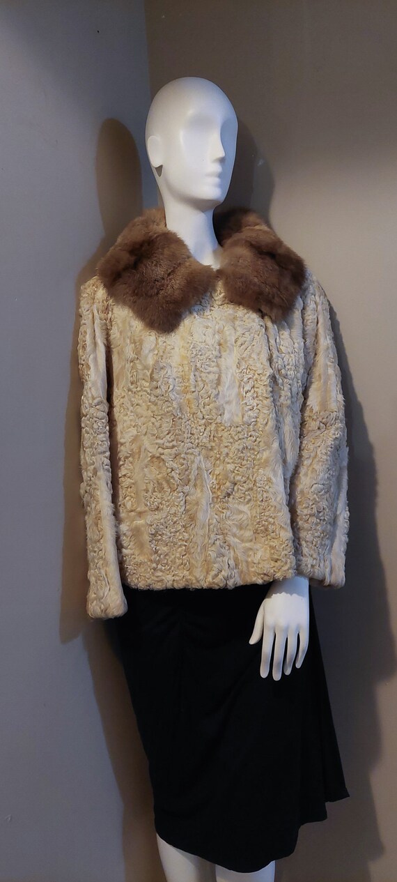 Vintage ‘60’s Genuine Persian Lamb Jacket with Mi… - image 5