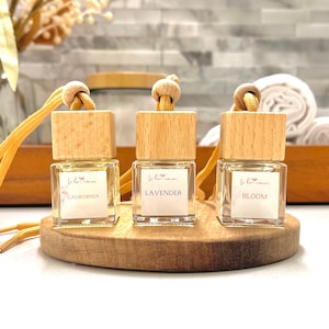 Car Diffuser - Air Freshener - Hanging Car Diffuser - Eco Friendly Diffuser -
