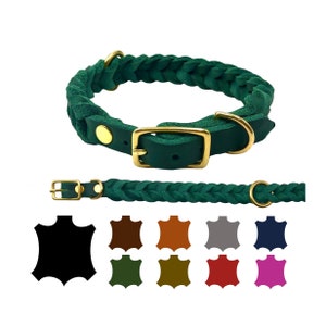 Dog collar oiled leather brass Dog collar leather medium/ large dogs Tannengrün