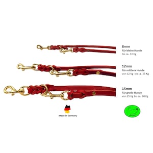 Dog leash grease leather brass small dogs / large dogs 2 m / 2.40 m / 2.80 m / 3.50 m / 5 m double leash adjustable Rot