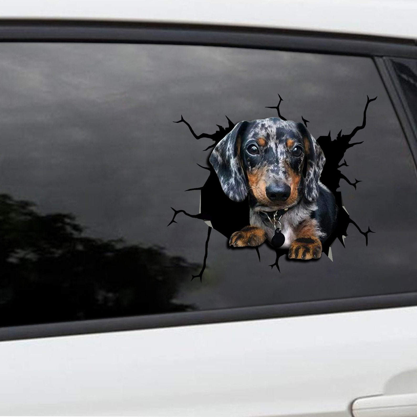 Dog Vehicle Stickers at John Hathaway blog
