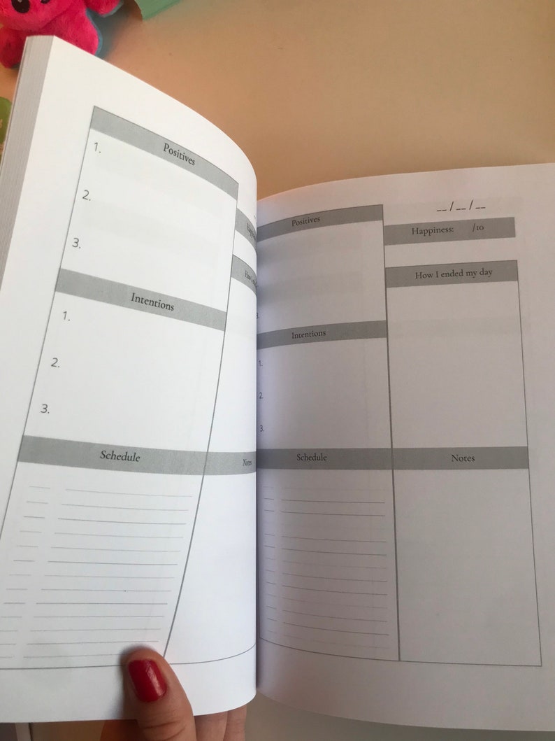May include: A blank daily planner with sections for positives, intentions, schedule, and notes. The planner has a grey background and black text.