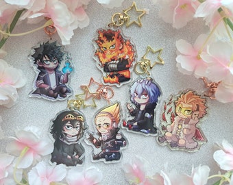 Pro hero and villain charms