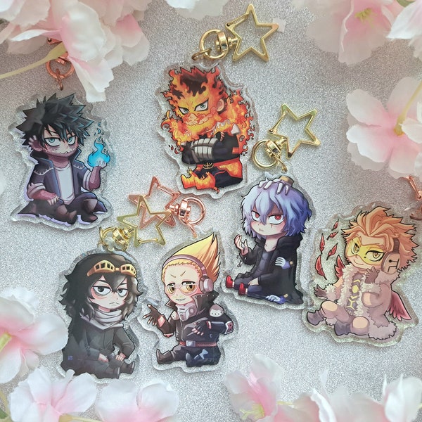Pro hero and villain charms