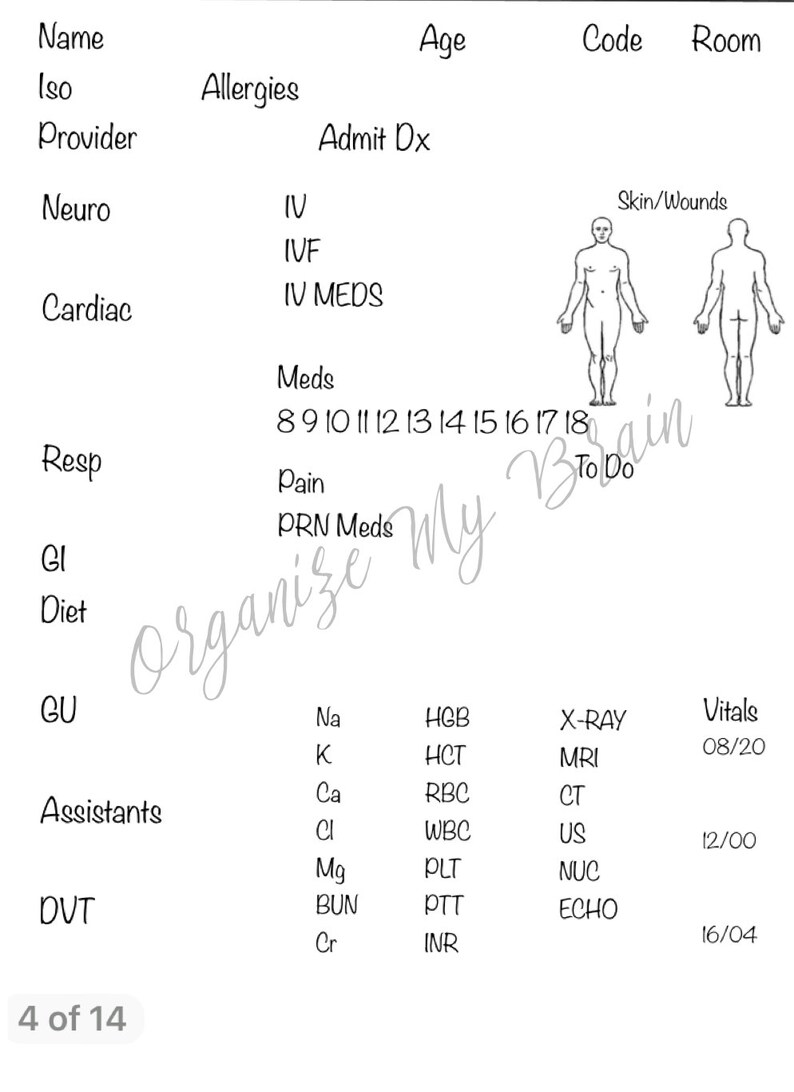 Nursing Report Sheet Four Patient - Etsy