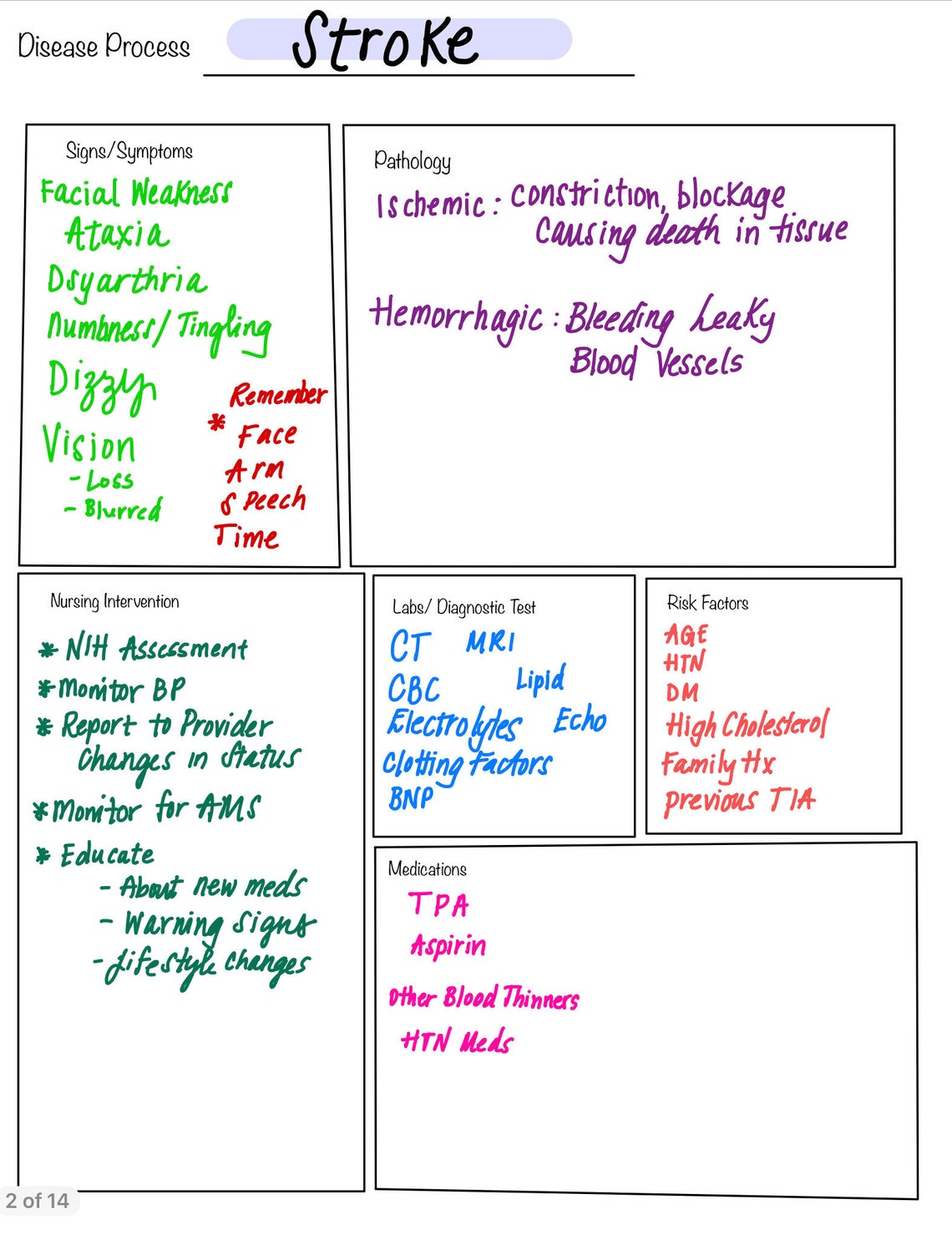 Disease Process Template Etsy
