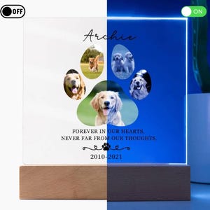 Pet Memorial Night Light, Custom Pet Plaque, Pet Night Light, Custom Pet Photo, Pet Memorial Frame, Gifts for Pets, Cat Dog Loss Gift