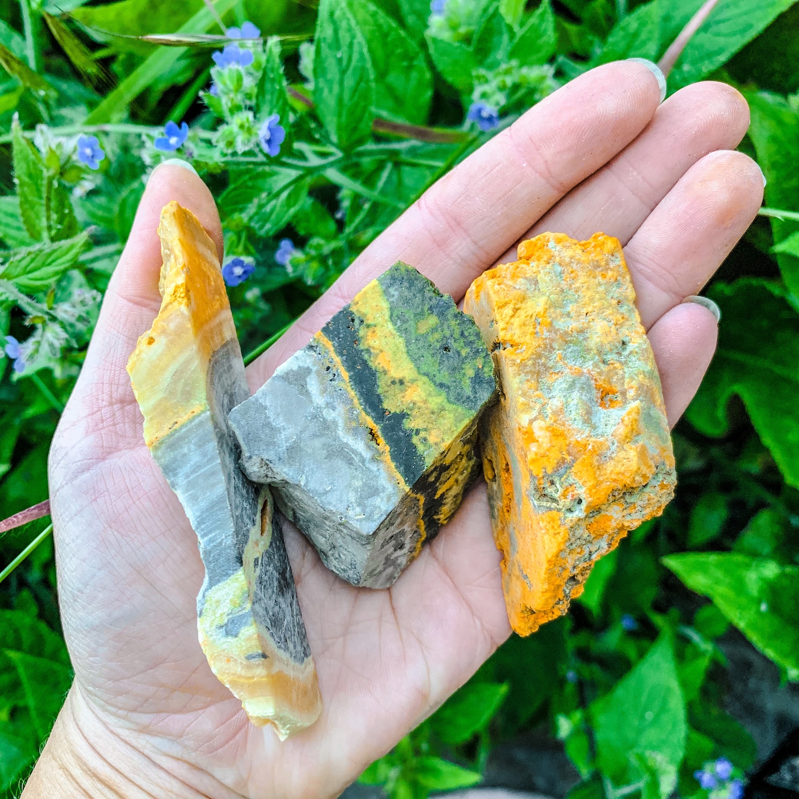 Bumblebee jasper raw rough rock slices Etsy