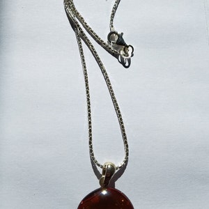 Amber Disc Pendant and 22 inch Sterling Silver Popcorn Chain. Healing Pendant.