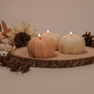 May include: Three pumpkin-shaped candles, one peach and two white, are lit and arranged on a wooden slice. The candles are surrounded by fall-themed decor, including pine cones and dried flowers.