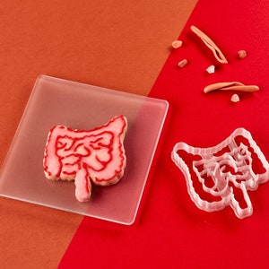 Darmkoekjesuitsteker | Anatomie koekjesvormer | Cadeau geneeskundestudent | Cadeau dokter | Individuele koekjesvormen