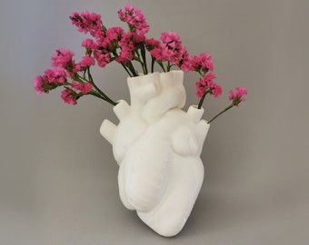 Anatomisches Herz Vase | Medizinstudent Geschenk, Biologie Deko, Arztpraxis Deko, Medizin Geschenk