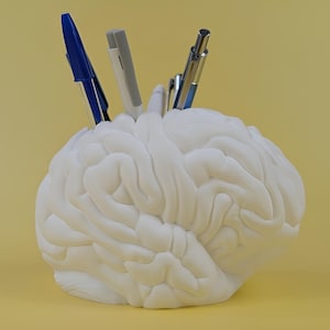 Gehirn Dekogefäß | Medizinstudent Geschenk, Anatomie Vase, Praxis Dekoration, Arzt Geschenk