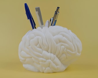 Brain decorative vase | medical student gift, anatomy vase, practice decoration, doctor gift