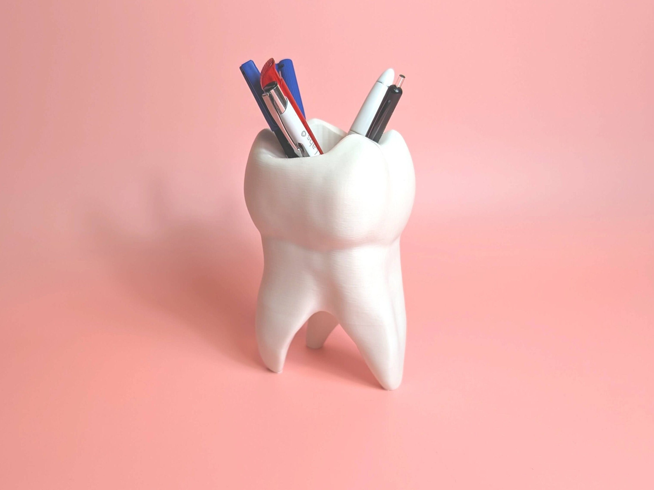 Tooth Decorative Vase | Medical Student Gift, Tooth Vase, Practice Decoration, Doctor Gift