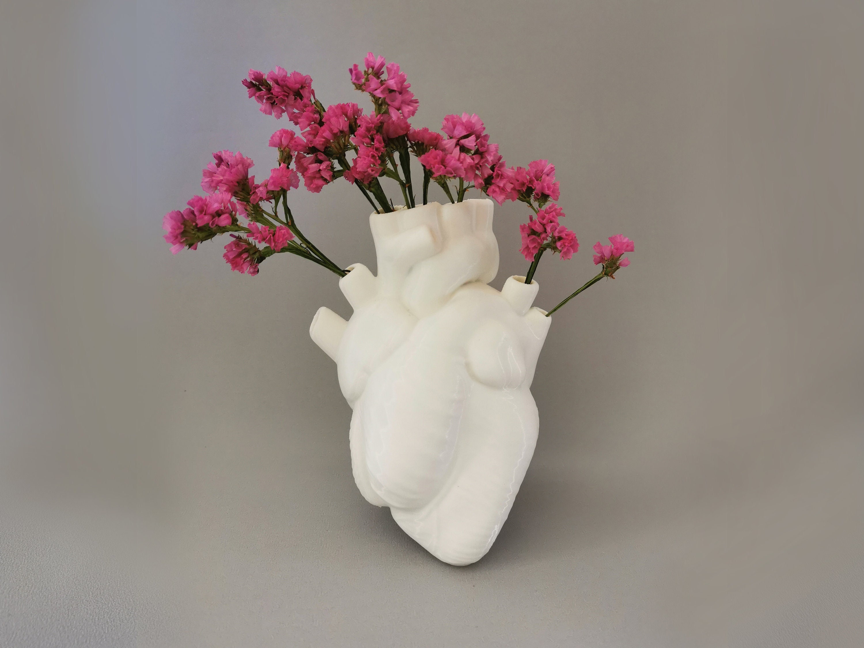 Anatomical heart vase -  Italia