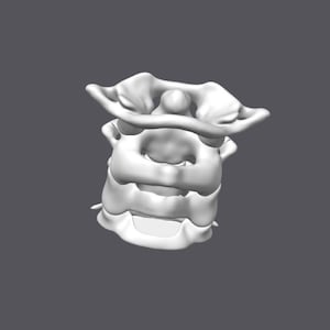 May include: A white 3D model of a human cervical vertebra, a bone in the neck.