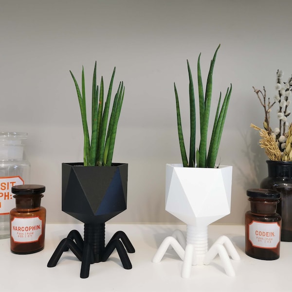 Bacteriophage deco jar | gift medical student, bacteriophage planter, virus vase, science decoration, gift for teacher, gift for physician